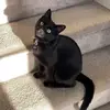 ally - @ally.wiseman - TikTok