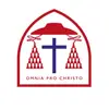 cardinal wiseman - @cardin.alwiseman - TikTok