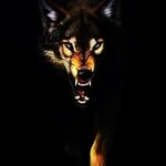 مـ۪۪۪ٜـَ۪۪ٜؒؔـ۪ึ๘ึًً้۪ـخـاوي الـ͜͡ـꍈꪴྂꇻꪴྂꍈꪴྂـꪴꪰ͜͡ــذيـب... - @al.wolf___ - Instagram
