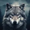 Epic Wolf - @alphaepicwolf - TikTok