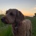 Alex Wooster - Facebook