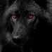 Alan Wortham - Facebook