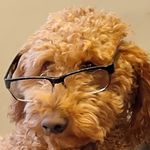 Alfonso Yevoli - @alfonsoyevoli - Instagram