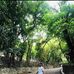 Al Sha Yip - Facebook