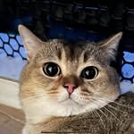 AL Yip - @alyip1123 - Instagram