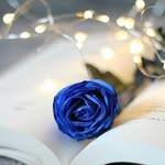 Alaa Al-khatib - @alaa__alkhatib - Instagram