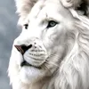 Alaa Alkhatib - @alaa.alkhatib20 - TikTok