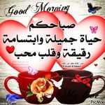 Alaa Ishak - @alaa.ishak.754 - Instagram