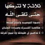 علاء جدع - @alaa.jada.7 - Instagram