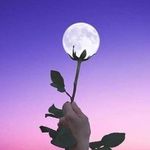 علاء جادالله - @alaa.jadallah.99 - Instagram