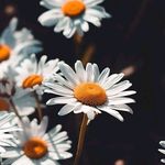 Alaa JadAllah - @alaa.jadallah - Instagram