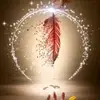 Alaa khalaf - @ela_khalaf - TikTok