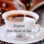 Alaa Lamiss - @alaalamiss - Instagram