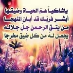 علاء معالي - @alaa.maali9999 - Instagram