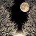 Alaa A Mohammad - Facebook