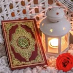 Alaa Mohammad - @alaa_mo67 - Instagram