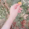 فَبِأَي ( آلاء) ربكما تكذبان💕 - @alaa.moustafa888 - TikTok