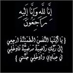 Alaa A Moustafa - @alaa_moustafa - Instagram