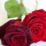 Alaa Moustafa - @alaamostafa12324 - Instagram