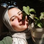 Àlaa Moustafa - @alaa.moustafa.7106 - Instagram