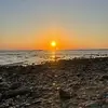 Alaa Moustafa - @alaa.moustafa96 - TikTok