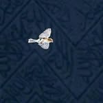 Ãlaa Naeem - @dr.alaanaeem87 - Instagram