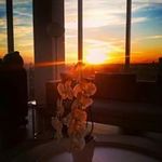 Ala'a Naeem - @roz11188 - Instagram