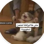 Alaa Naeem - @alaa.naeem.96155 - Instagram