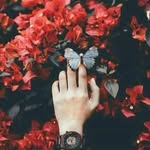 Alaa Odeh - @alaa.i.odeh - Instagram
