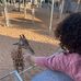 Alaa Osman - Facebook