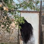 Ala - @alaa.qaderr - Instagram