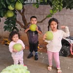 Alaa Abed El Qader - @alaaabedelqader - Instagram