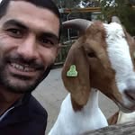 Alaa Qader - @alaa_2604 - Instagram