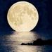 Alaa Qamar - Facebook