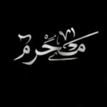 Qamar Alaa - @qamaralaa38 - Instagram