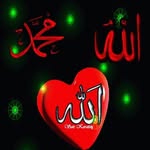 Alaa Rasheed - @alaa.rasheed.33483 - Instagram