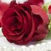 Alaa Riad - Facebook