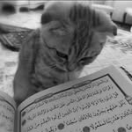 Alaa Sabbagh - @alaa.sabbagh.1291 - Instagram