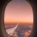 Alaa sabbagh - @alaa_sabbagh_2010 - Instagram