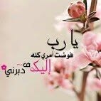 Alaa Sabbagh - @alaa.sabbagh.5 - Instagram