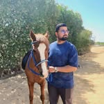 Alaa Sadek - @alaa.sadek.82 - Instagram