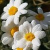 Alaa salim - @alaa.salim53 - TikTok