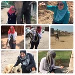 Ala'a Hesham - @alaa_h_seder - Instagram
