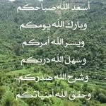 Alaa Seder - @sederalaa - Instagram