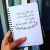 Alaa Shaaban - @alaashaaban24 - TikTok