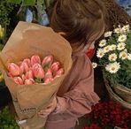 Alaa Shaban - Facebook