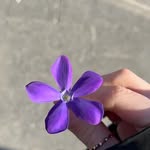 alaa shami - @alaashami83 - Instagram