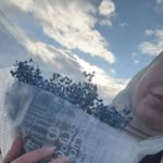Alaa Shami - @alaa.shami.1113 - Instagram