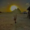 alaataha774 - @alaataha774 - TikTok