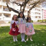 Alaa Alhaj Hussein - @alaa.wadie - Instagram